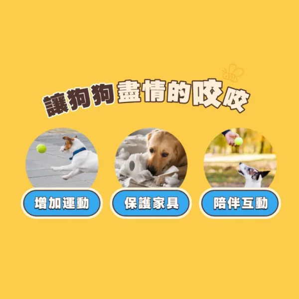 【英雄媽媽 Heromama】小熊維尼系列 好朋友啾啾彈力球 | 狗狗彈力球：圖片 6