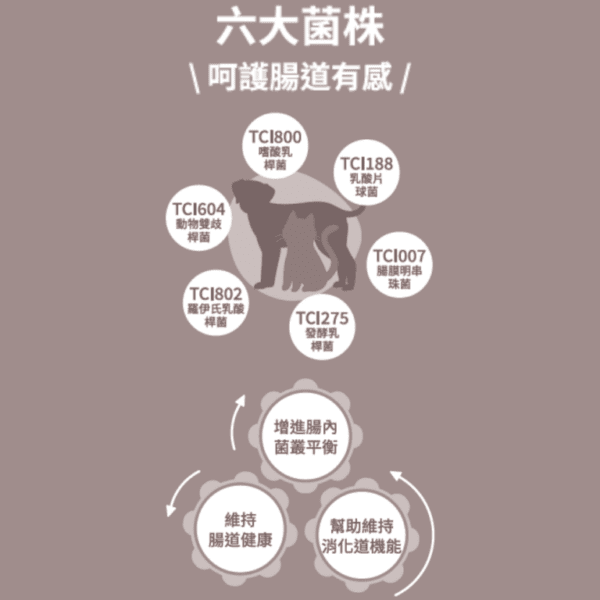 【活力提爾 VitaTiere】犬貓專用 | 益生菌粉包：圖片 3